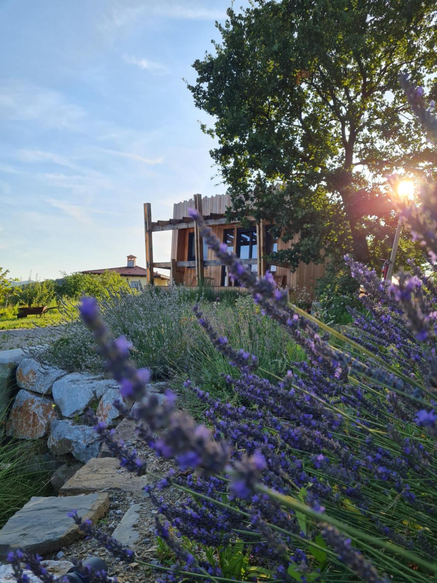 Panorama Glamping Vipavska Dolina Διαμέρισμα Dobravlje Εξωτερικό φωτογραφία